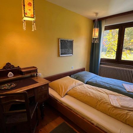 Haus Im Gruenen Appartement Saalfelden Buitenkant foto